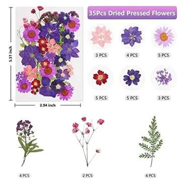 Dried Flowers 169Pcs Dried Pressed Flowers Leaves Natural Set with Butterfly Stickers and Tweezers for Resin Molds Candle Making Nails Jewelry DIY Crafts