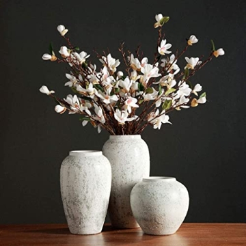 CFLNYC Ceramic Vases for Elegant Home Decor