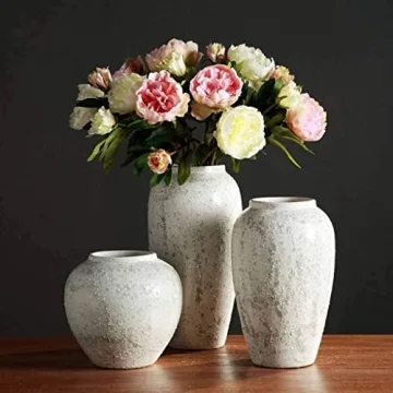 CFLNYC Ceramic Vases for Elegant Home Decor