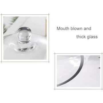Elegant Glass Cloches Set for Home Decor and Gifting