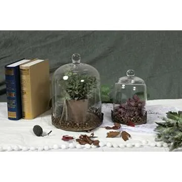 Elegant Glass Cloches Set for Home Decor and Gifting
