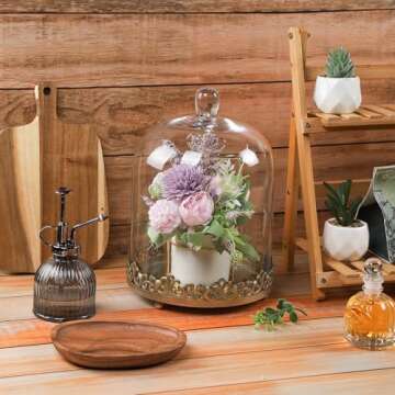 12" Tall Large Sturdy Handmade Glass Cloche Dome with Metal Base 11.4" H x 8" and 8" H x 5.5" in Set of 2 in Gold for Plant, Terrarium, Collectibles, Candle. Cloche Glass Dome, Bell Jar Display Case