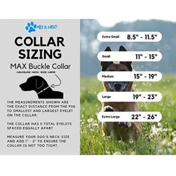 Max and Neo MAX Reflective Metal Buckle Dog Collar - We Donate a Collar to a Dog Rescue for Every Collar Sold (Large, Teal)