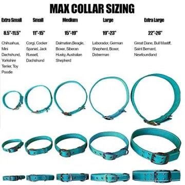 Max and Neo MAX Reflective Metal Buckle Dog Collar - We Donate a Collar to a Dog Rescue for Every Collar Sold (Large, Teal)