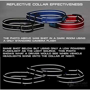 Max and Neo MAX Reflective Metal Buckle Dog Collar - We Donate a Collar to a Dog Rescue for Every Collar Sold (Large, Teal)