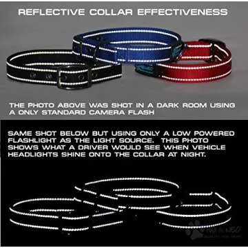 Max and Neo MAX Reflective Metal Buckle Dog Collar - We Donate a Collar to a Dog Rescue for Every Collar Sold (Large, Teal)