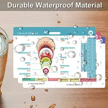49 Horizontal Nursing Badge Reference Cards, Nursing School Essentials Set, Bonus Cheat Sheets - Lab Values, EKG, Vitals, Etc for Nurse, LPN, Or Students