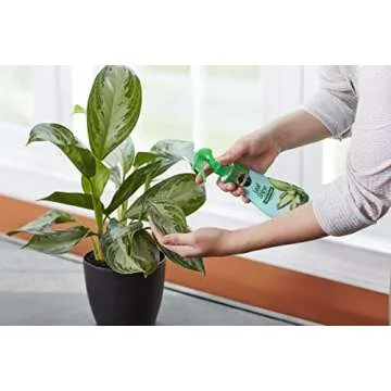 Miracle-Gro Leaf Shine, 8-Ounce Green