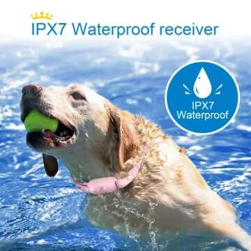 Versatile Bousnic Dog Training Collar for Two Dogs Effectively