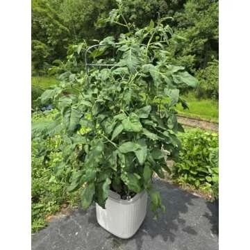 Self-Watering Vego Garden Planters with Trellis 15 Inch