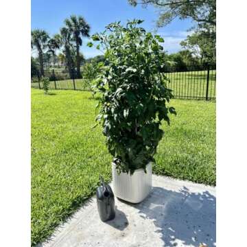 Self-Watering Vego Garden Planters with Trellis 15 Inch