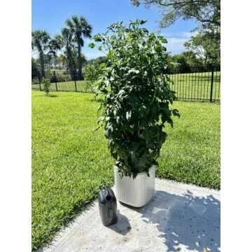 Self-Watering Vego Garden Planters with Trellis 15 Inch