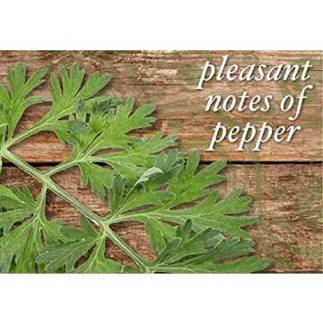 Buddha Teas Organic Mugwort Tea - OU Kosher, USDA Organic, CCOF Organic, 18 Bleach-Free Tea Bag