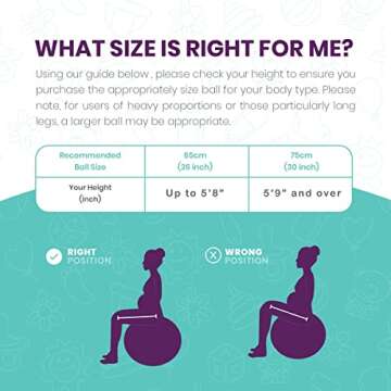 The Birth Ball - Birthing Ball for Pregnancy & Labor - 18 Page Pregnancy Ball Exercises Guide by Trimester - Non Slip Socks - How to Dilate, Induce, & Reposition Baby for Mom 65cm