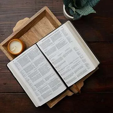 NABRE Catholic Bible Large Print Leathersoft Brown