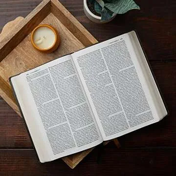 NABRE Catholic Bible Large Print Leathersoft Brown