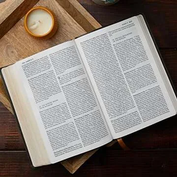 NABRE Catholic Bible Large Print Leathersoft Brown