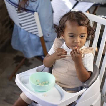 Ingenuity Baby Base 2-in-1 Seat for Infants and Toddlers