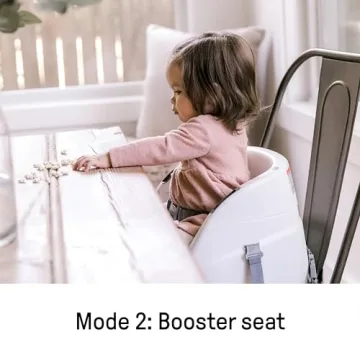 Ingenuity Baby Base 2-in-1 Seat for Infants and Toddlers