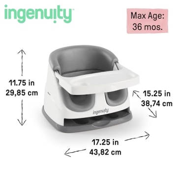 Ingenuity Baby Base 2-in-1 Seat for Infants and Toddlers