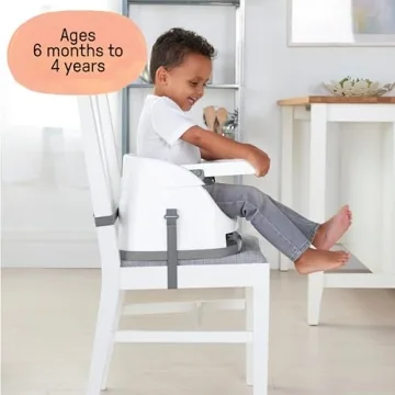 Ingenuity Baby Base 2-in-1 Seat for Infants and Toddlers