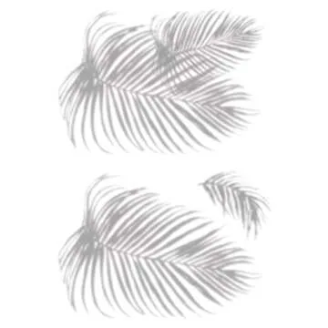 Mr. Kate Palm Frond Peel and Stick Wall Decals for Home