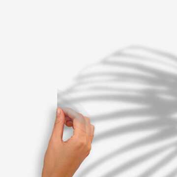 Mr. Kate RoomMates RMK5063SLM Tropical Shadow Palm Frond Peel and Stick Wall Decals , Grey