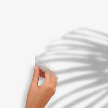 Mr. Kate Palm Frond Peel and Stick Wall Decals for Home