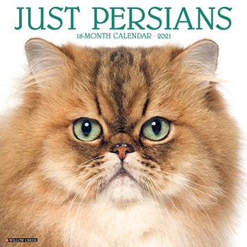 Just Persians Calendar Perfect for Cat Lovers