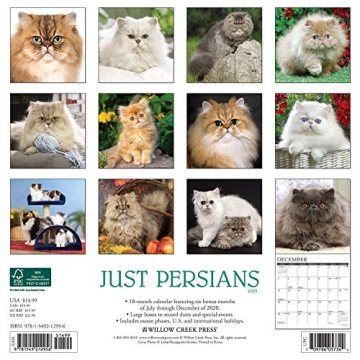 Just Persians Calendar Perfect for Cat Lovers