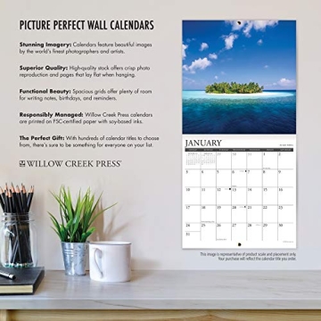Just Persians Calendar Perfect for Cat Lovers