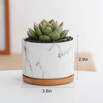 Plant Pot ,Brajttt Ceramic Succulent Pot Planter Flower Pots with Drainage,Small Planter Pots for Mi...