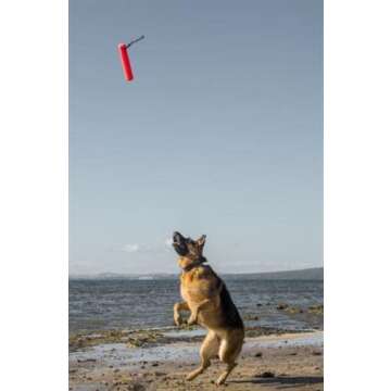 Katie's Bumpers Original Bumper Dog Toy, Orange