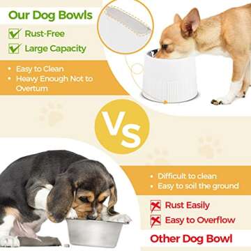 MSBC Elevated Dog Bowl - Perfect Feeder for Small Pets