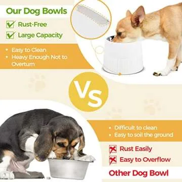 MSBC Elevated Dog Bowl - Perfect Feeder for Small Pets