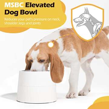 MSBC Elevated Dog Bowl - Perfect Feeder for Small Pets
