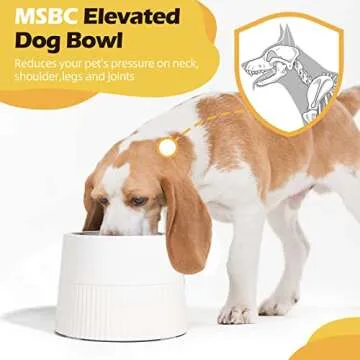 MSBC Elevated Dog Bowl - Perfect Feeder for Small Pets