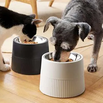 MSBC Elevated Dog Bowl - Perfect Feeder for Small Pets
