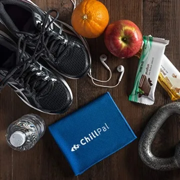 Chill Pal Mesh Cooling Towel for Outdoor Activities