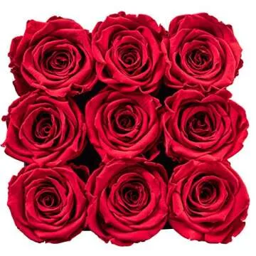 SOHO FLORAL ARTS | Large Mirrored Vase Pave Accent | Genuine Roses that Last for Years | Forever Roses in a Box (9ct. Red) | Mothers Day Gifts
