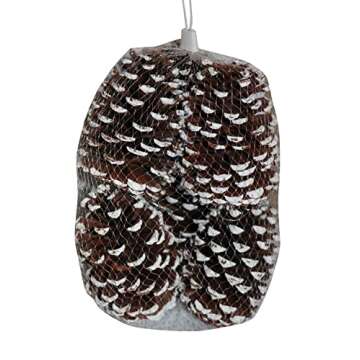 Extra Large Natural Pinecones - Bug Free and Unscented Pine Cones - Great for Vase Fillers or Christmas Tree Ornaments ! (Snow Tipped)