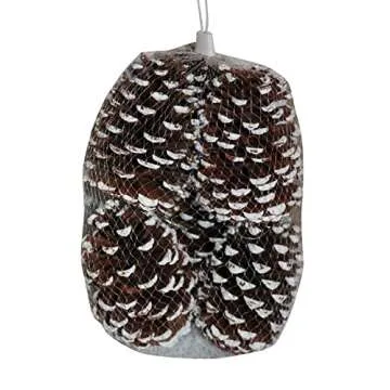 Extra Large Natural Pinecones - Bug Free and Unscented Pine Cones - Great for Vase Fillers or Christmas Tree Ornaments ! (Snow Tipped)