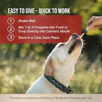 MycoDog Vitality - Powerful Mushroom Tincture for Dogs