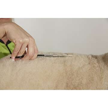 Andis Straight Shears, Right-Handed, Professional Dog and Cat Grooming