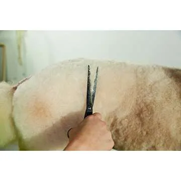 Andis Straight Shears, Right-Handed, Professional Dog and Cat Grooming