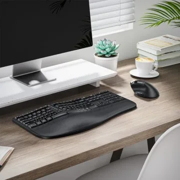 Wireless Ergonomic Keyboard and Mouse Set