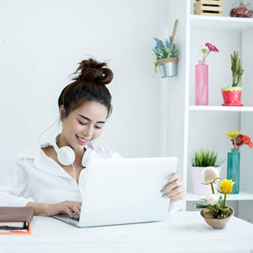 Buy Handmade CLAYFLAG Flower Frog for Floral Arrangements