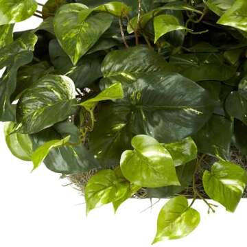 Nearly Natural Lifelike 15in. Pothos Silk Plant