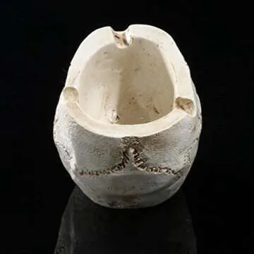 NUOBESTY 2Pcs Halloween Skull Figurines Bowl Resin Flower Pot Planter Collectible Human Skeleton Statue Ornament Party Decor for Home Office Decor (Beige)