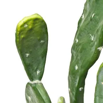 Artificial Prickly Pear Cactus Plant | 30" Tall Home Decor